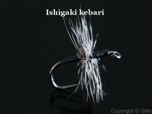 Ishigaki kebari