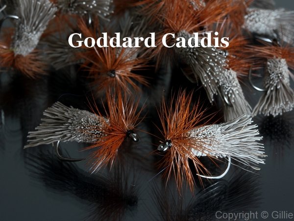 Goddard Caddis