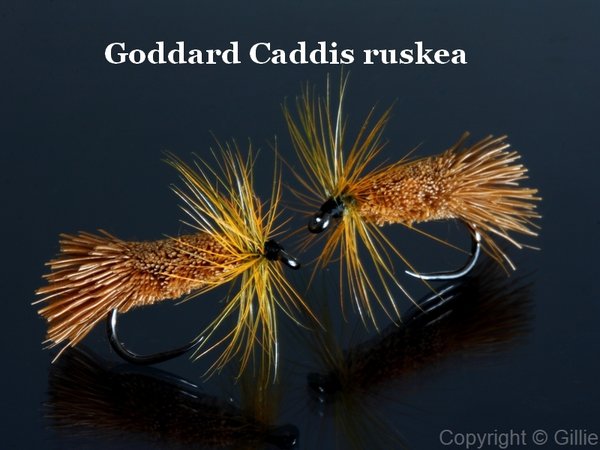 Goddard Caddis (ruskea)