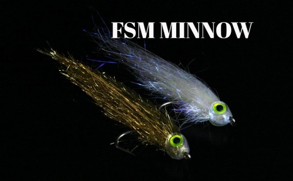 FSM Minnow (sarja)