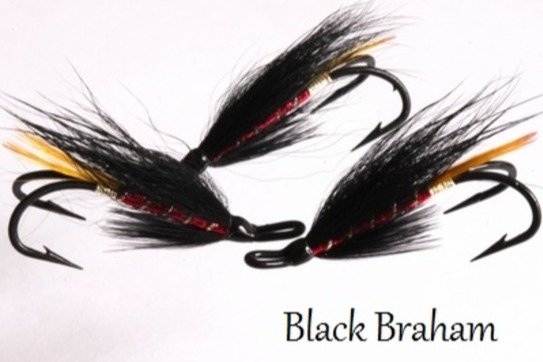 Black Braham (kaksihaara)