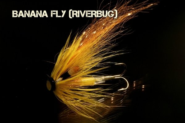 Banana Fly (RiverBug)