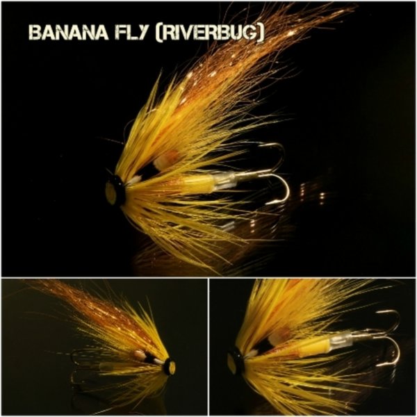 Banana Fly (RiverBug)